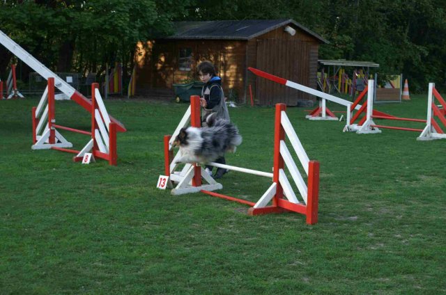 agility 2011-04